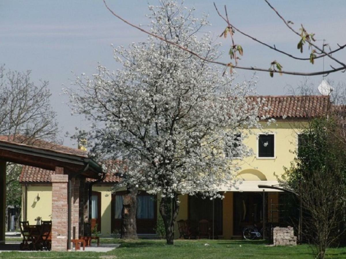 Particolari Del Brenta Daire Oriago Di Mira Dış mekan fotoğraf